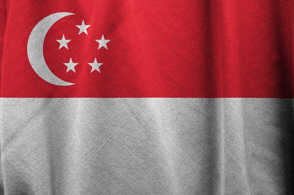 Singapore Flag