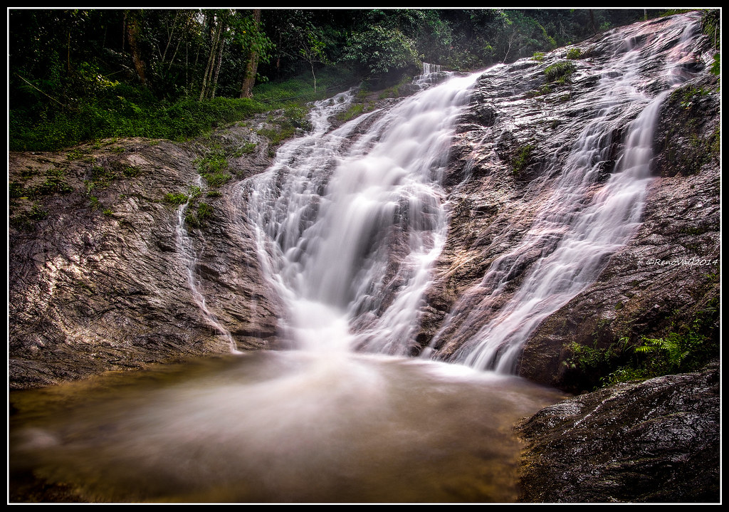 Travel Guide to the Cameron Highlands, A friend you need during your trip