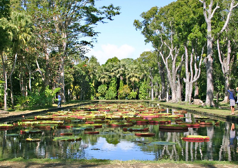 Pamplemousses Botanical Garden