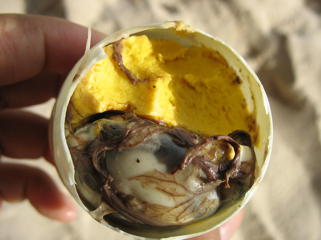 Balut