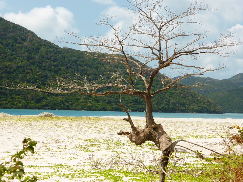 Con Dao, Vietnam