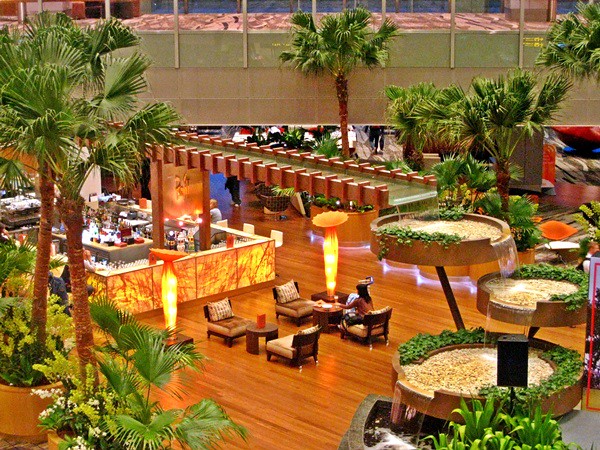 Restaurants at the jewel changi airport