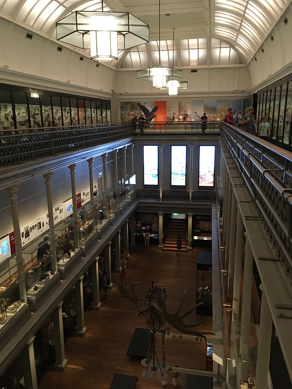 Australian Museum In Sydney: about History