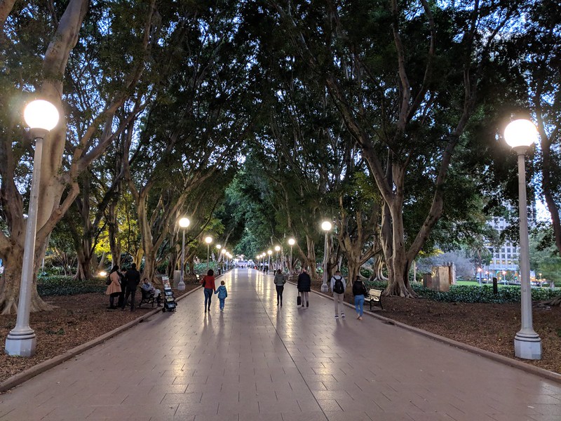 Walk at the Hyde Park