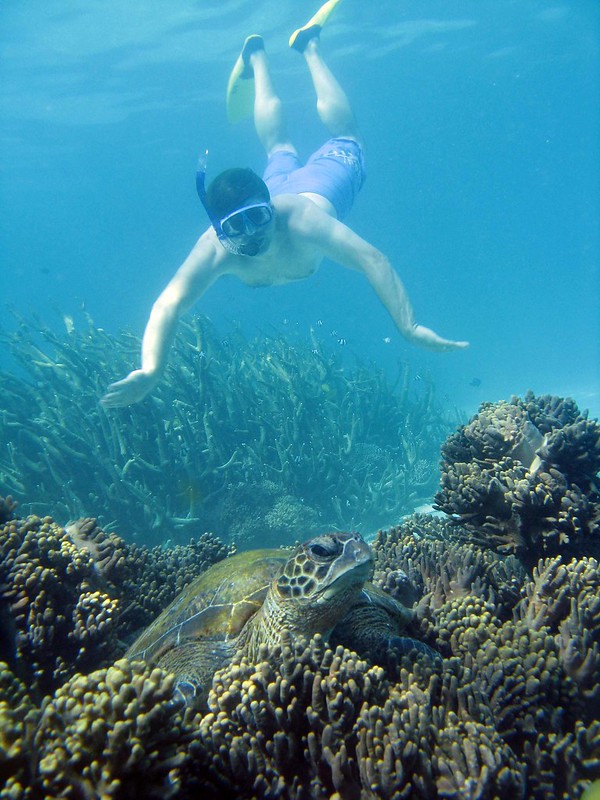 Ningaloo Reef Snorkel