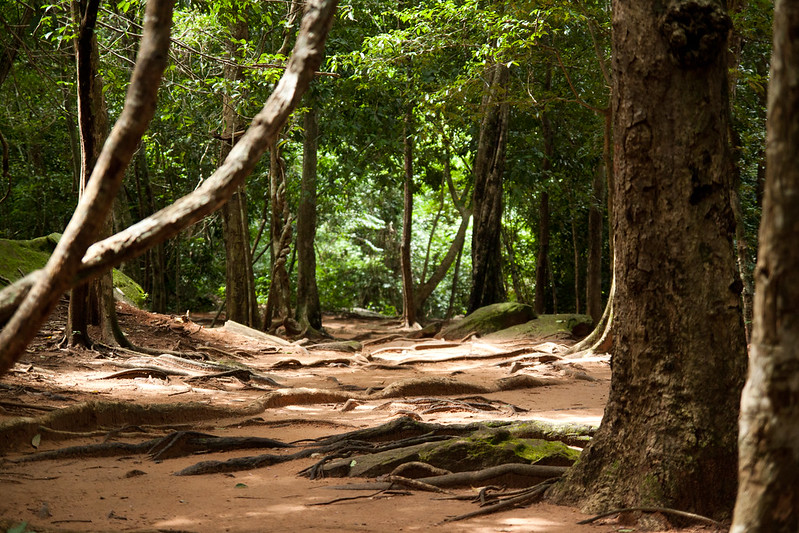Trekking in Virachey National Park