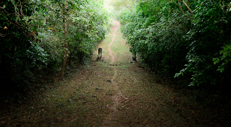 Trekking in Virachey National Park