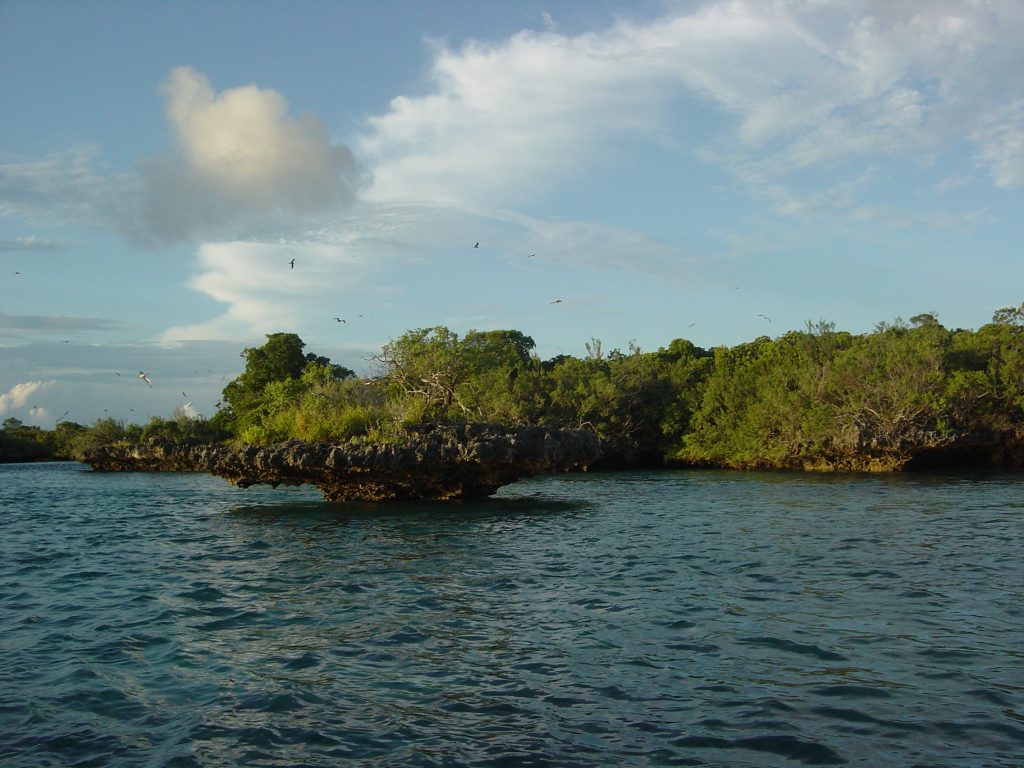 Aldabra Atoll in Seychelles