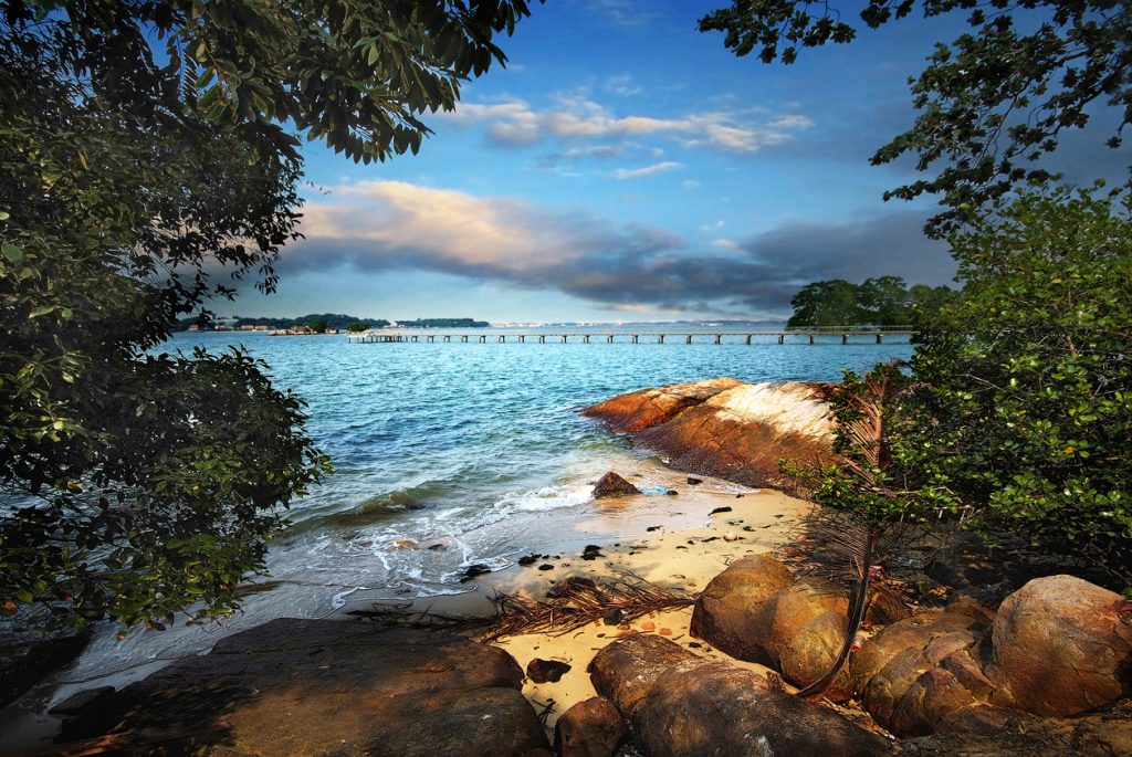 Chek Jawa , a cape in Singapore