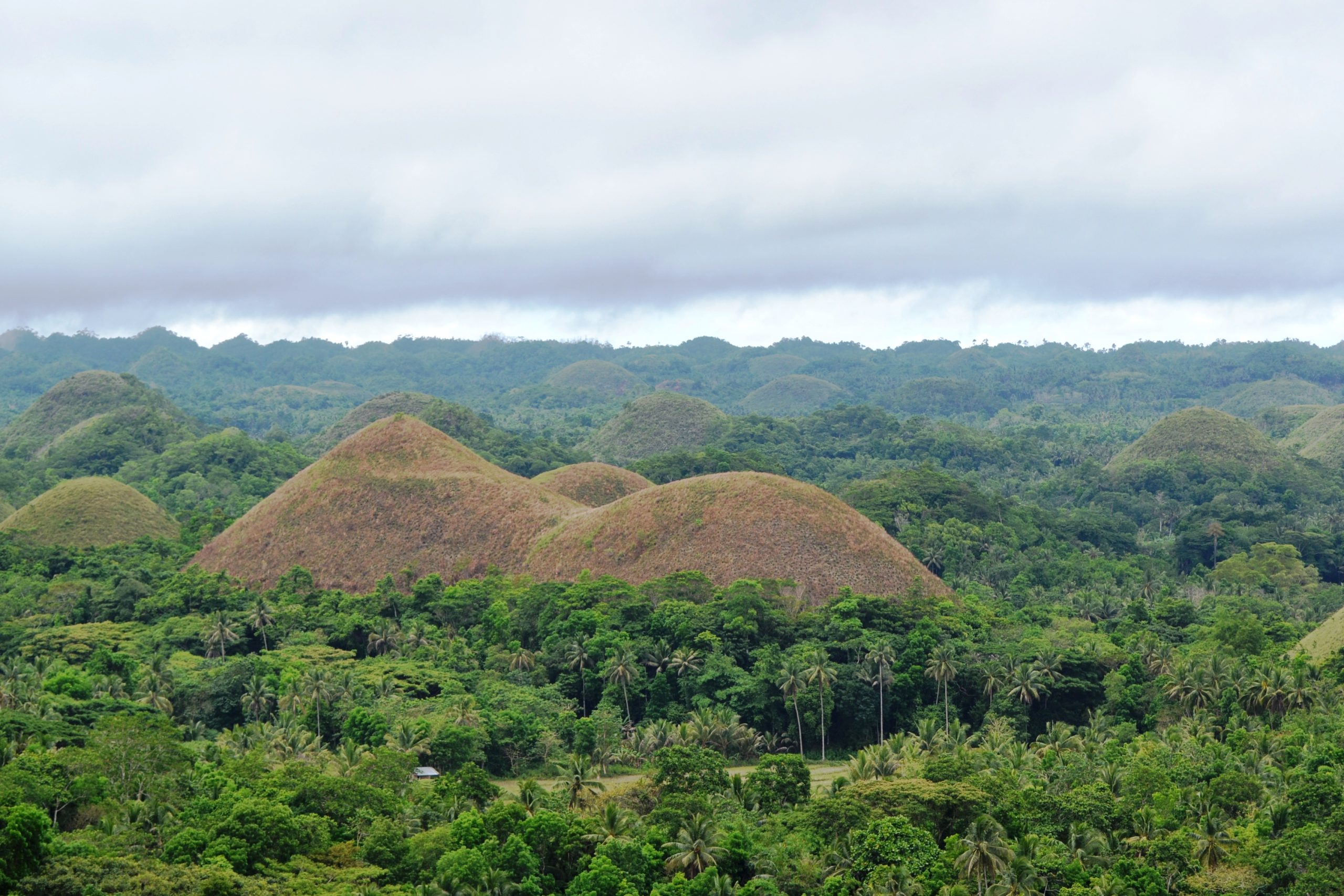 Awesome Things To Do In Bohol Philippines On Your Vacation