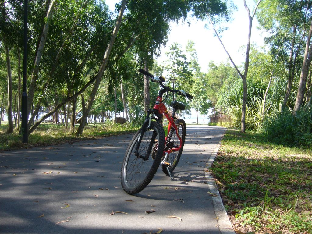 Shady and breezy lane in he park