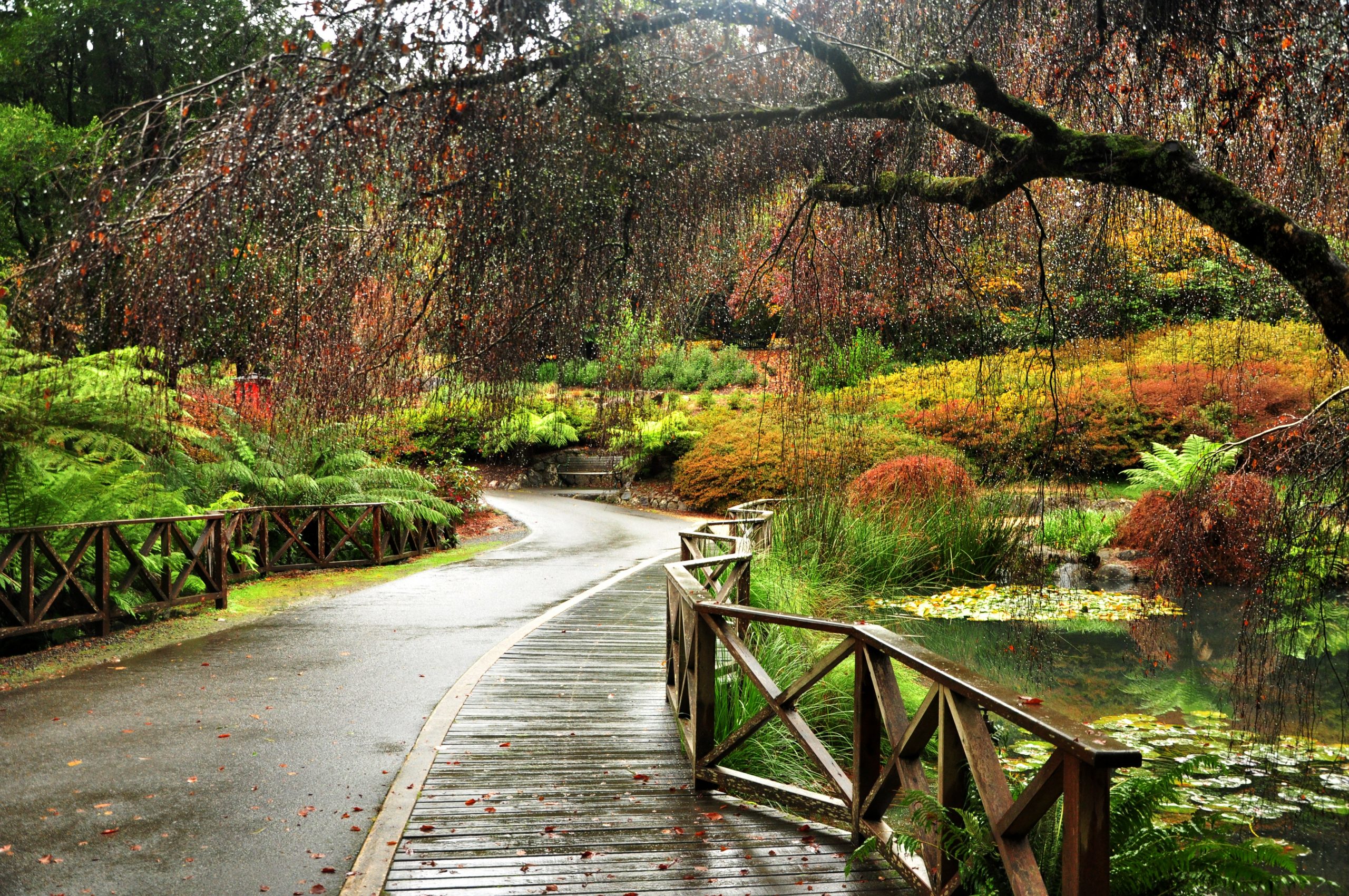 dandenong ranges day trip from melbourne