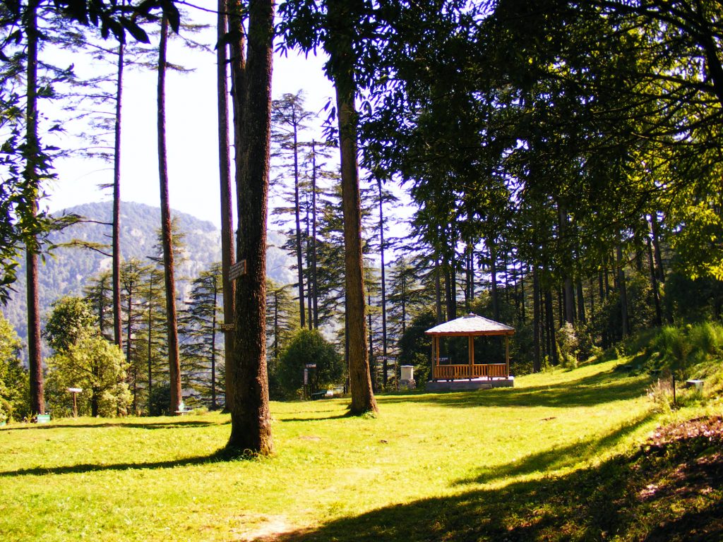 Lush green Meadows in Dhanaulti - adventure location among the Places to Visit in Uttarakhand.