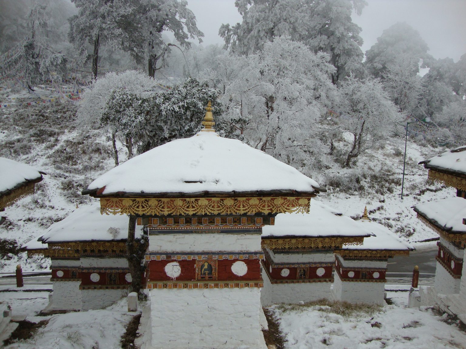 can we visit bhutan in december