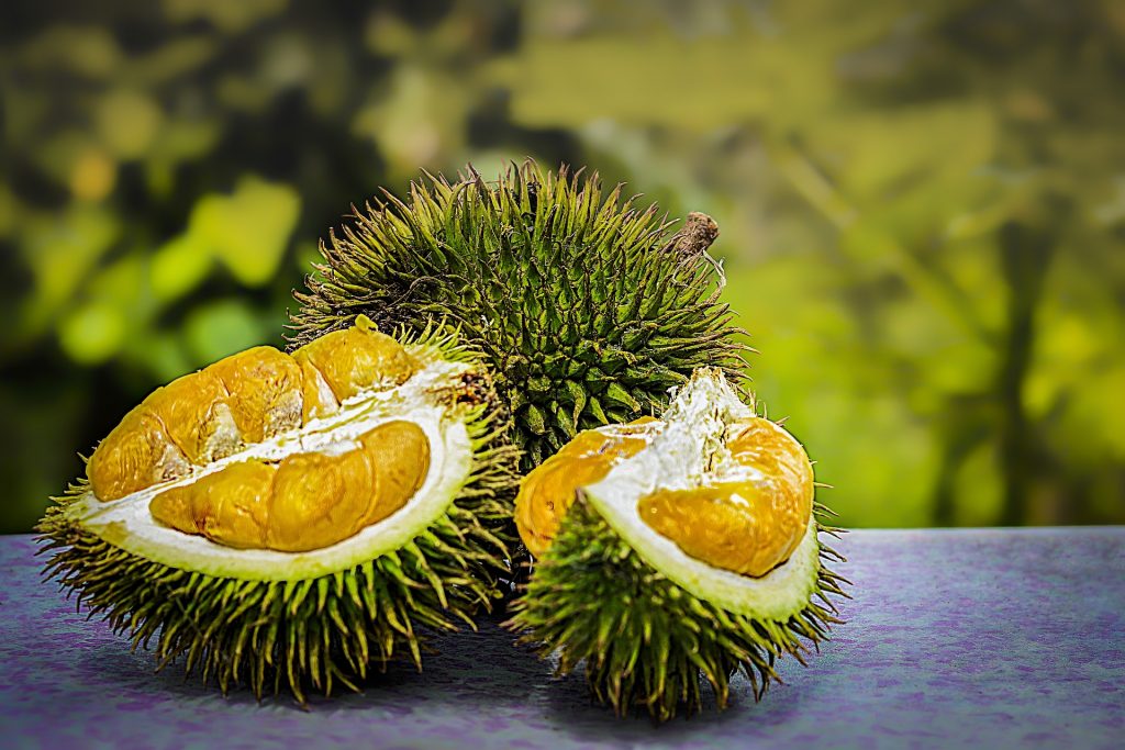 The King of Fruits