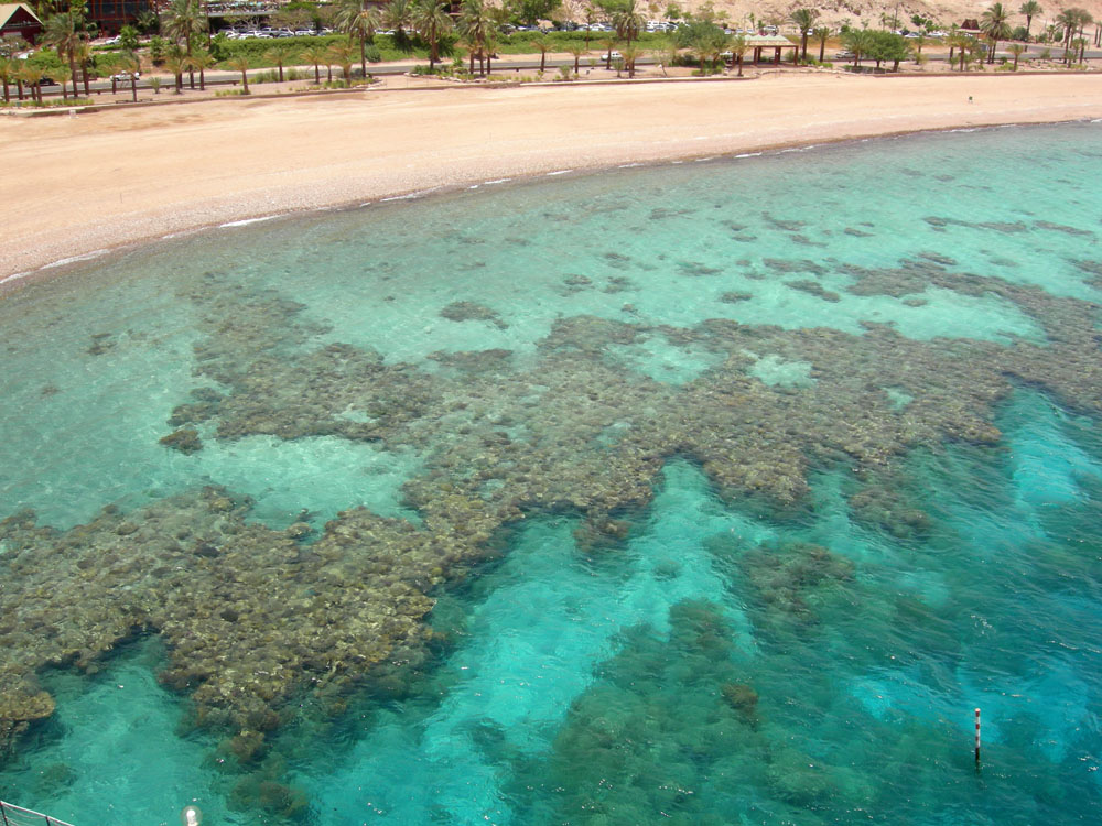 Coral reefs in Seychelles (Sainte Anne National Park)