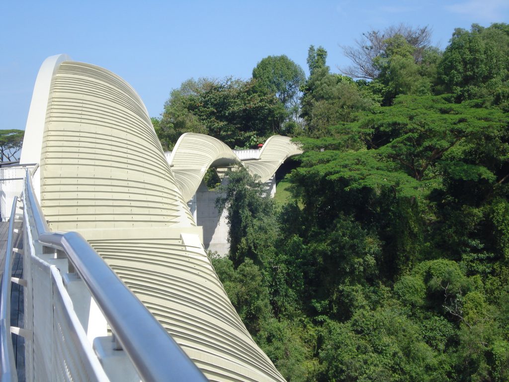 Henderson's wave bridge at the Southern Ridges