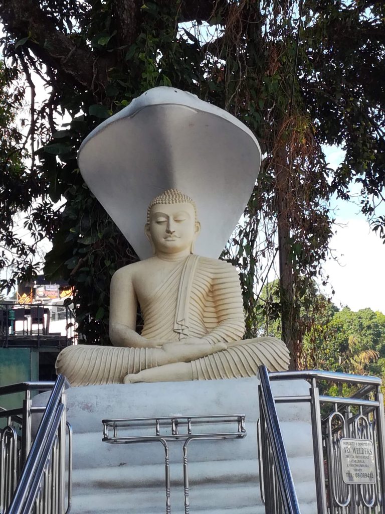 A statue in the Kandy city, Sri Lanka