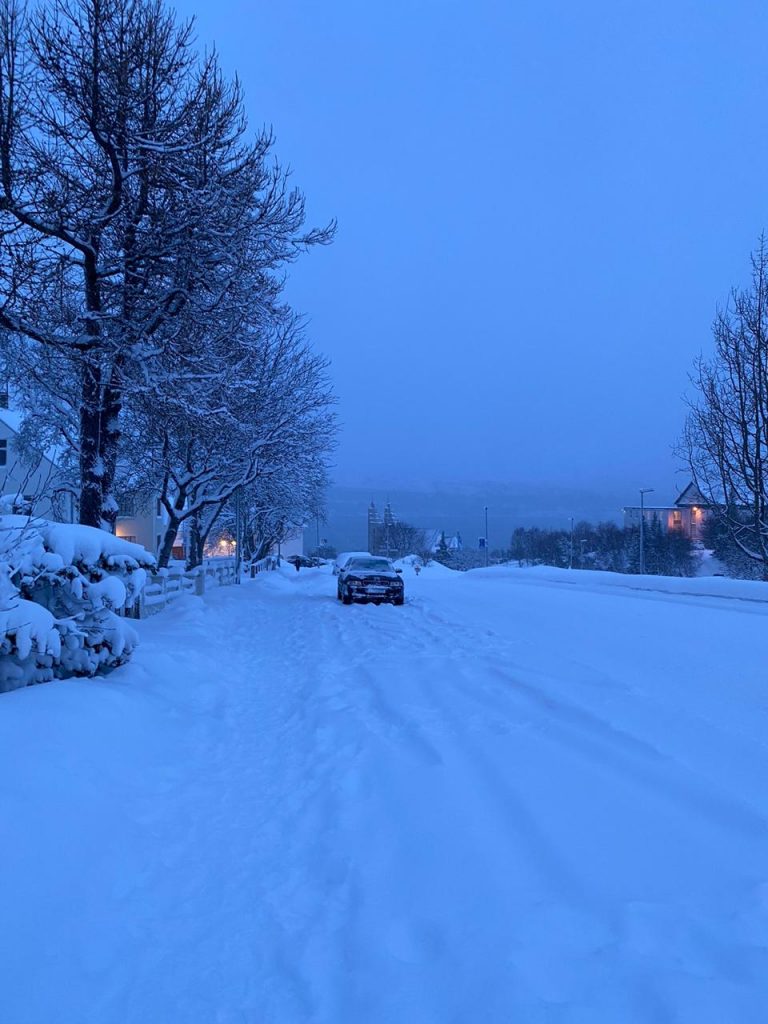 Driving in Iceland with my loved one
