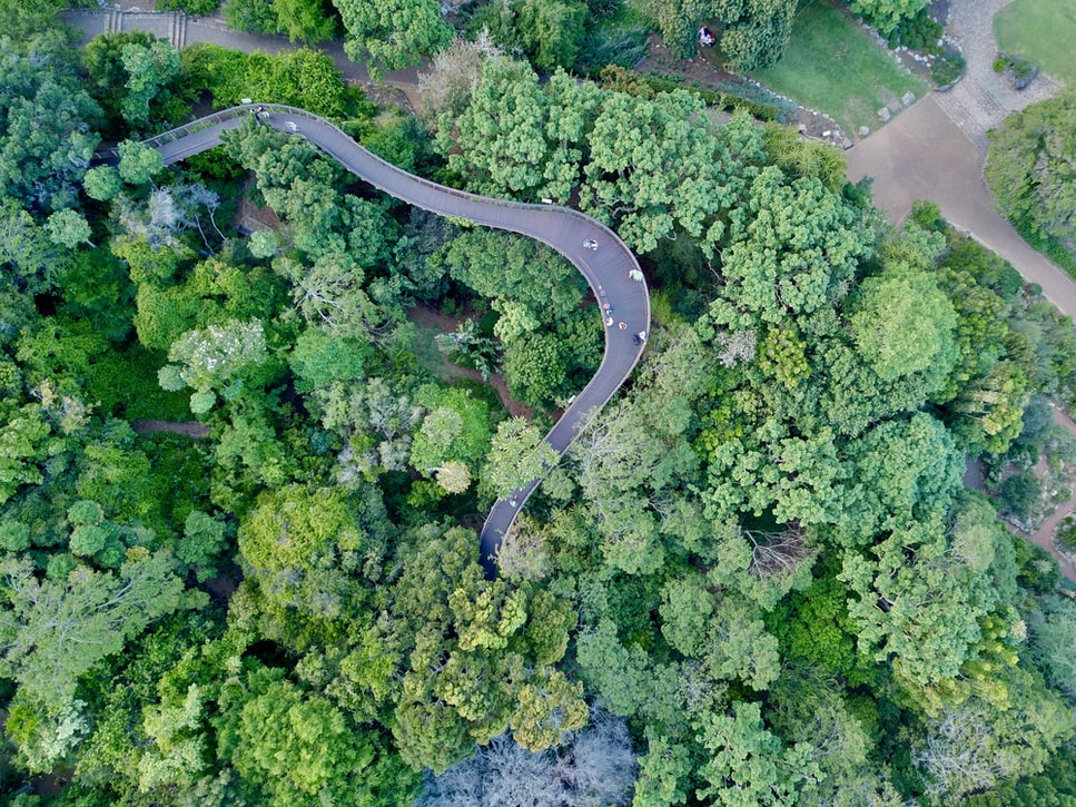 Top View of the Kirstenbosch Botanical Garden