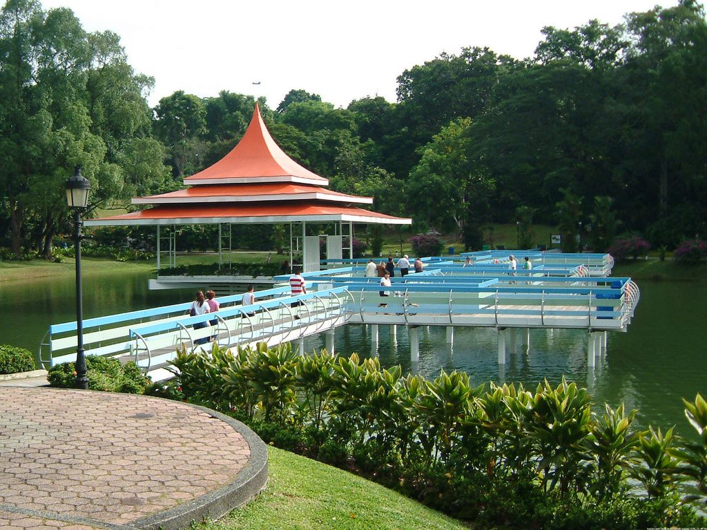 pathway at MacRitchie Reservoir Singapore