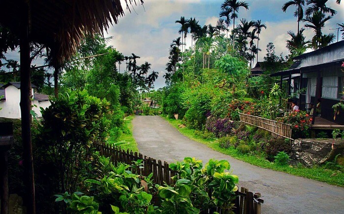 Mawlynnog Village Meghalaya