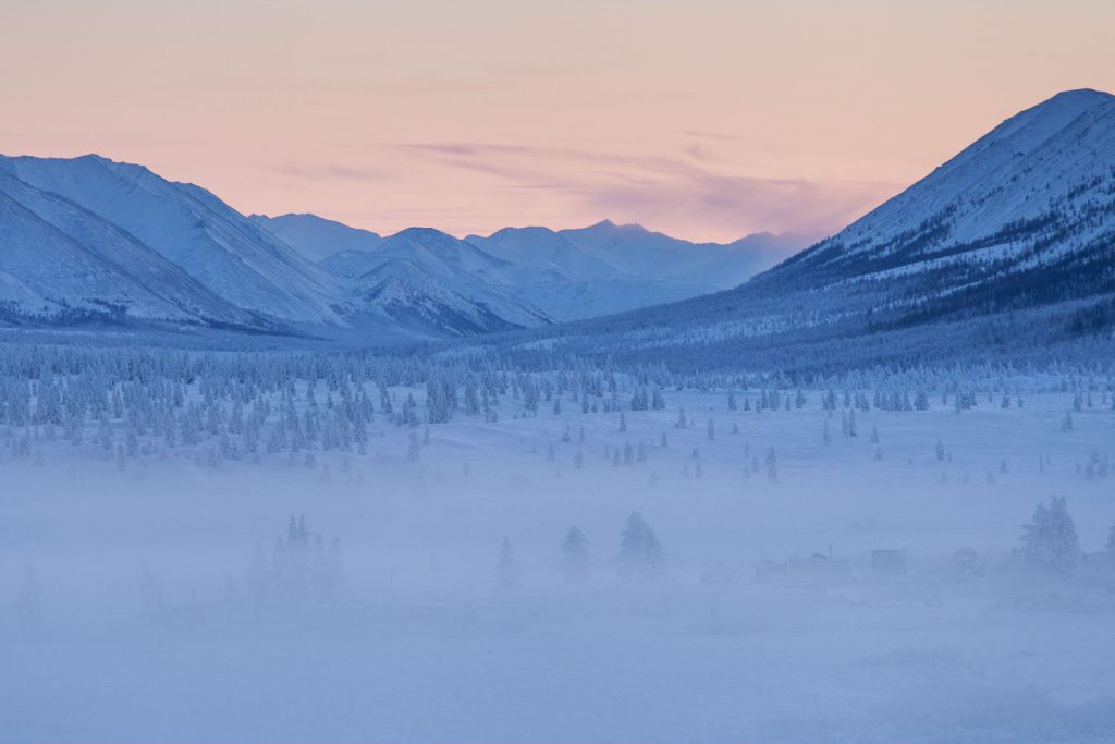 Oymyakon Forest