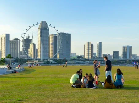 Picnic in Singapore