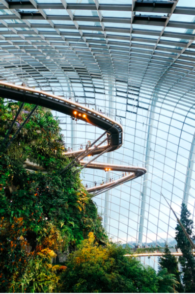 Cloud Forest in Gardens by the Bay
