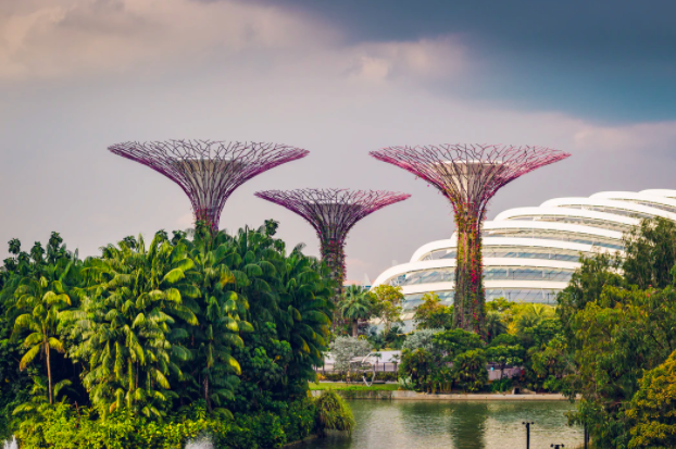 Supertree in Singapore Gardens by the Bay