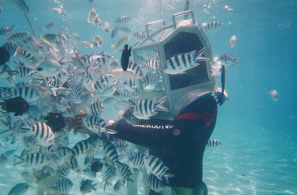 Exciting Underwater Sea Walk
