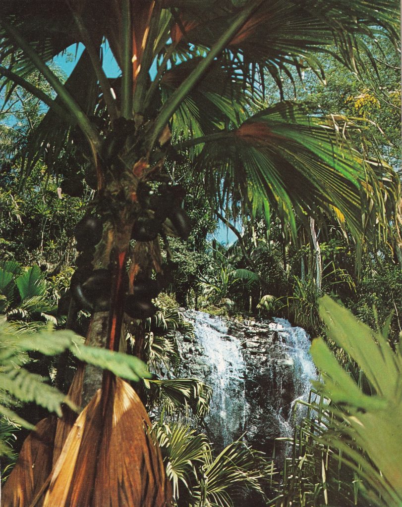 Valle de mai Waterfalls