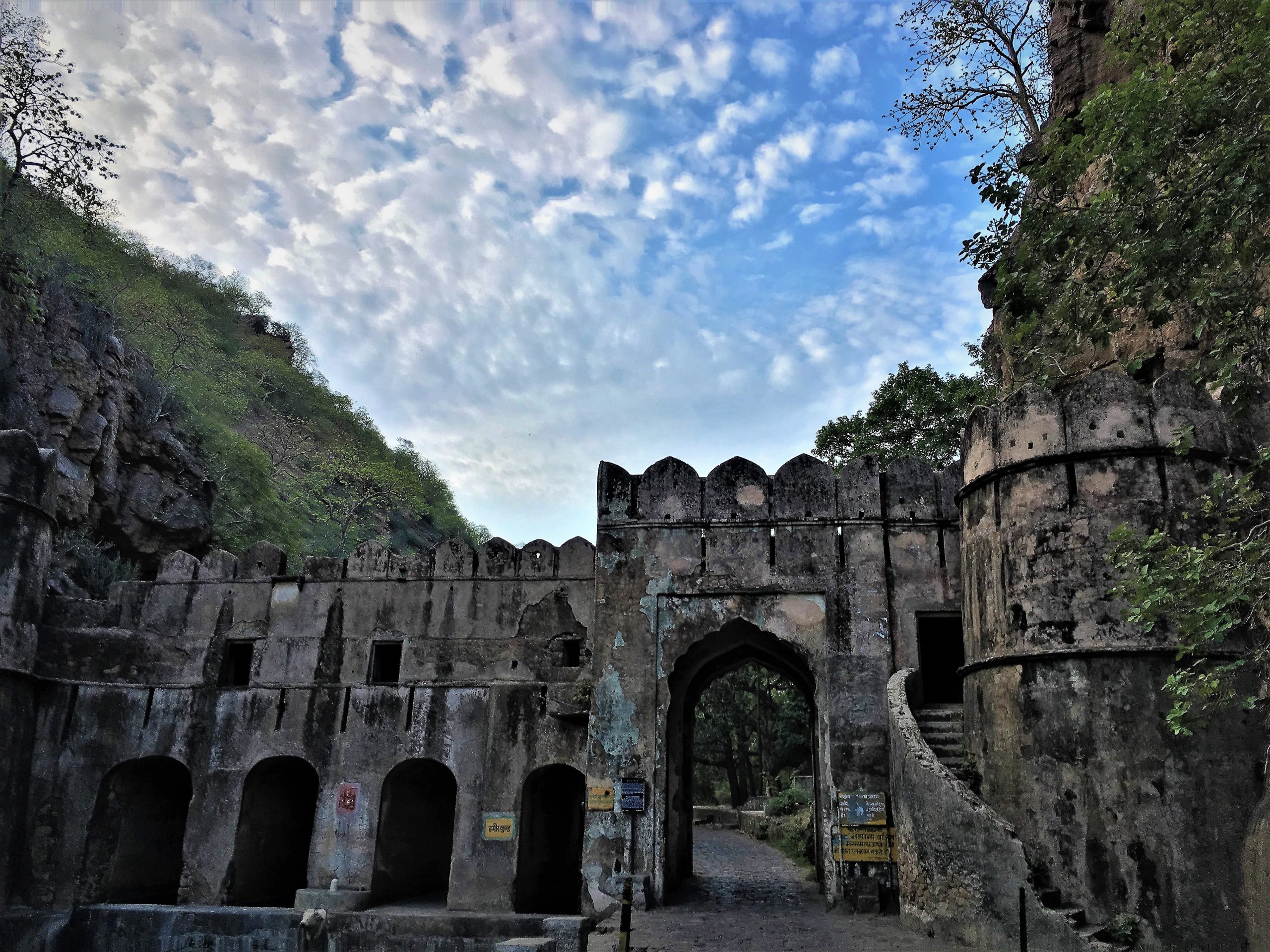 ranthambore national park rajasthan tourism