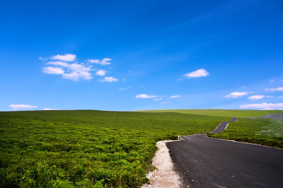 The Kangaroo Island