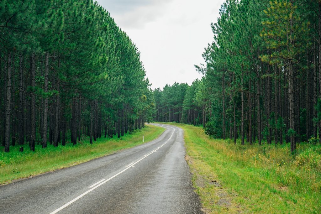 Hinterlands of the Sunshine coast