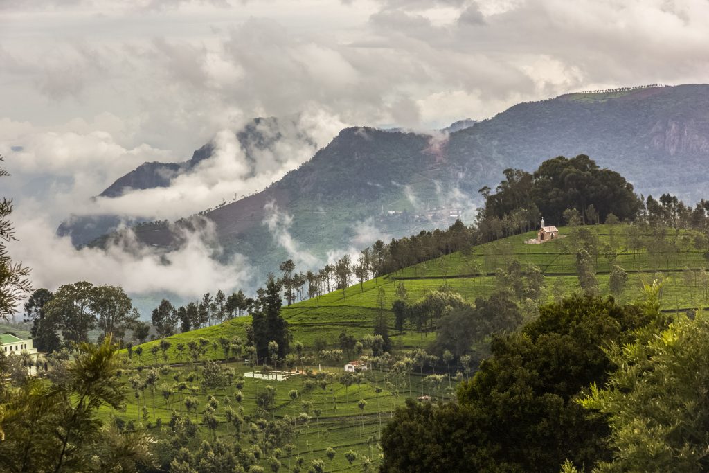 Manohari Tea Estate