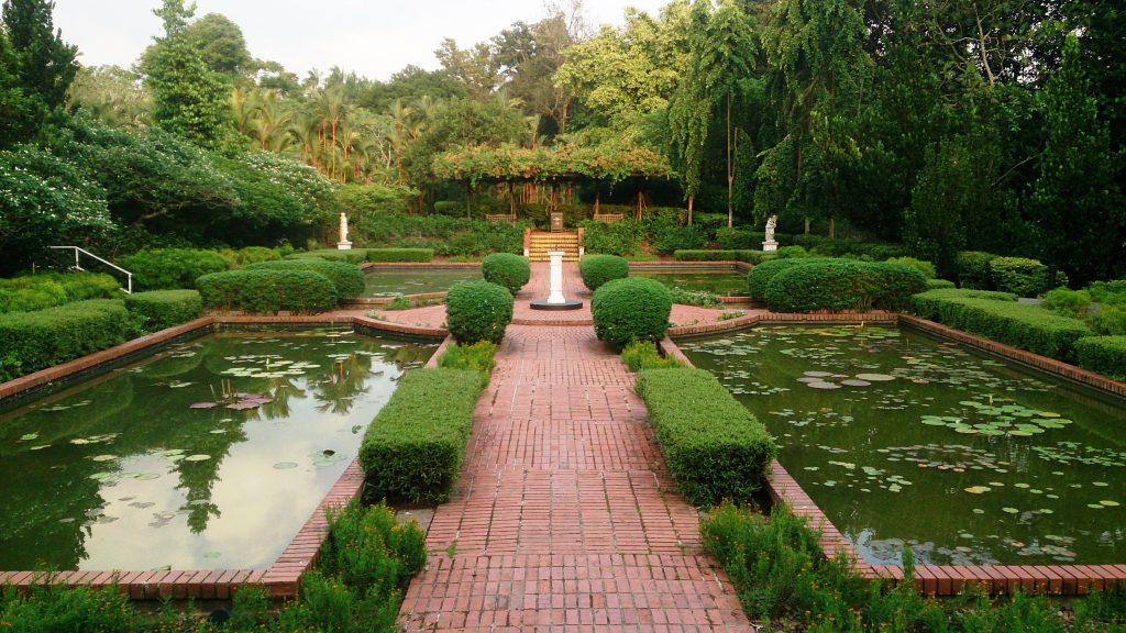 pathway at the botanic garden