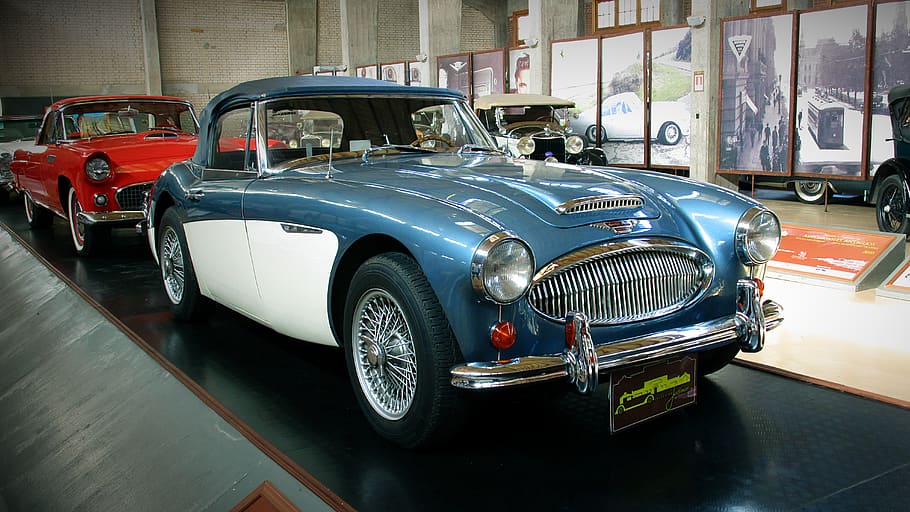 Udaipur vintage car collection