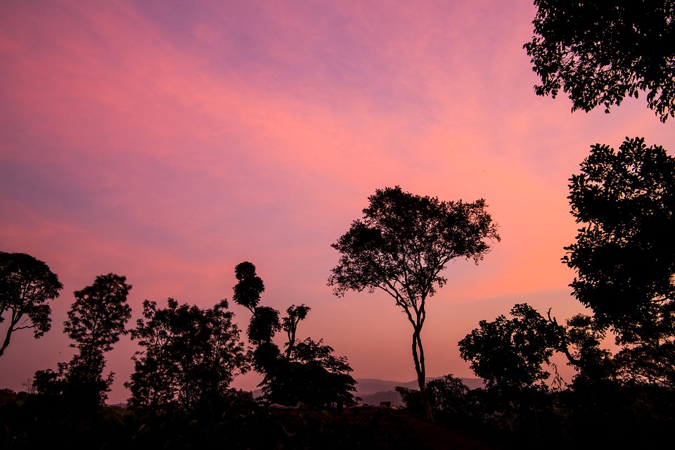 Sunset in Coorg