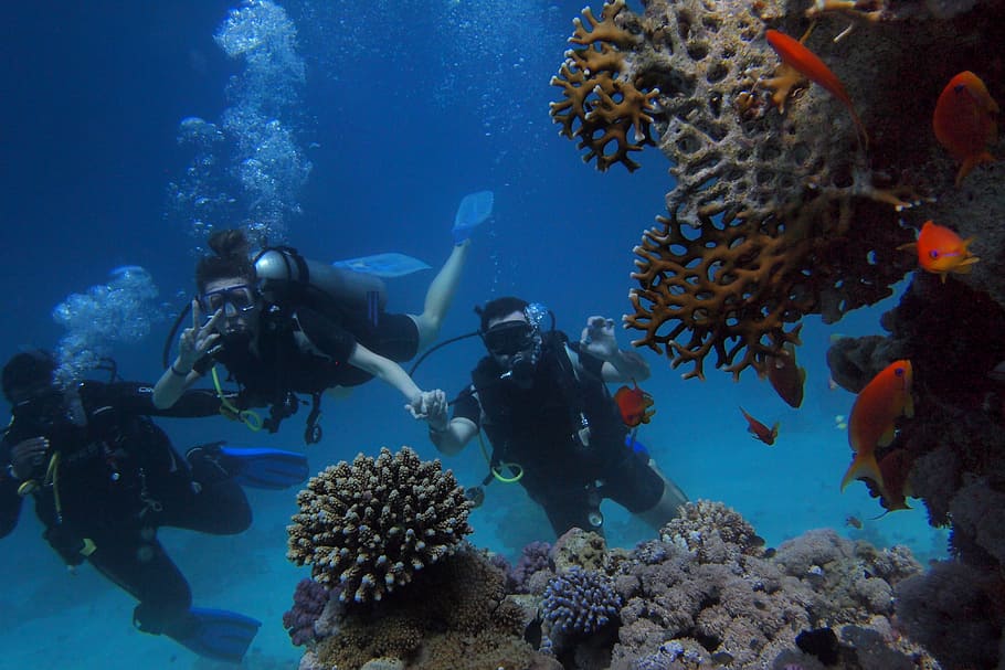 Scuba Diving in Koh Rin