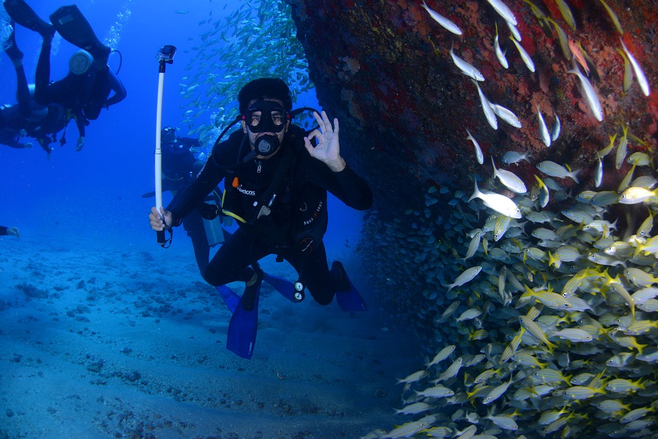 Scuba among marine life