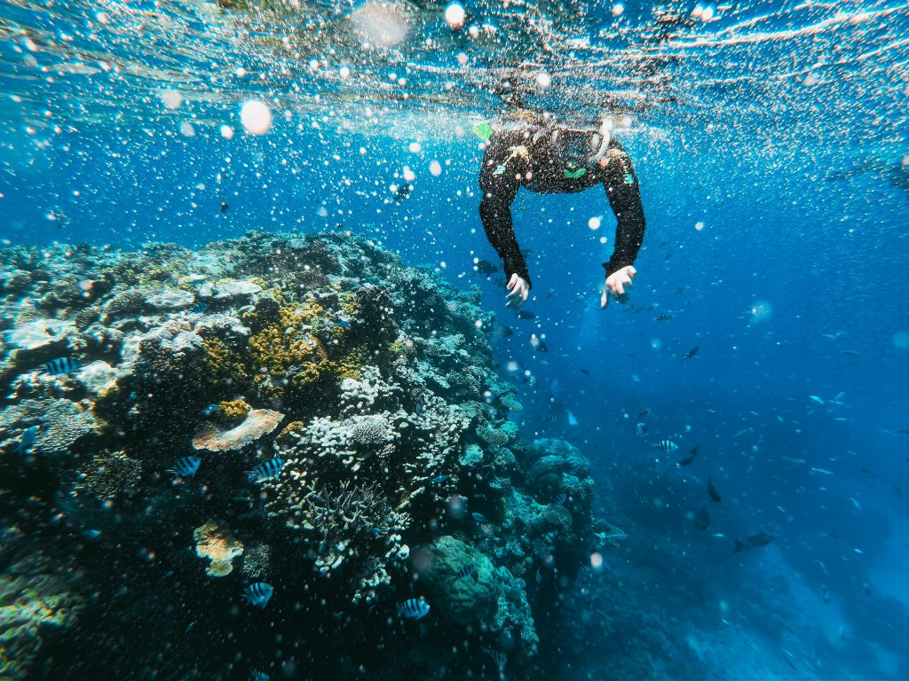 Deep-sea diving in Dubai