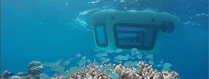 Semi Submarine experience