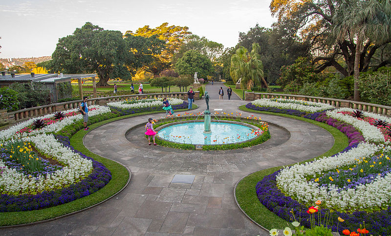 Royal Botanical Garden Sydney S Colourful Paradise