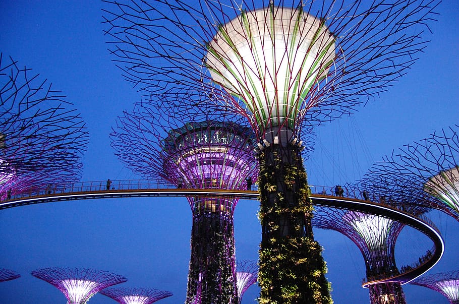Gardens by the Bay in Singapore