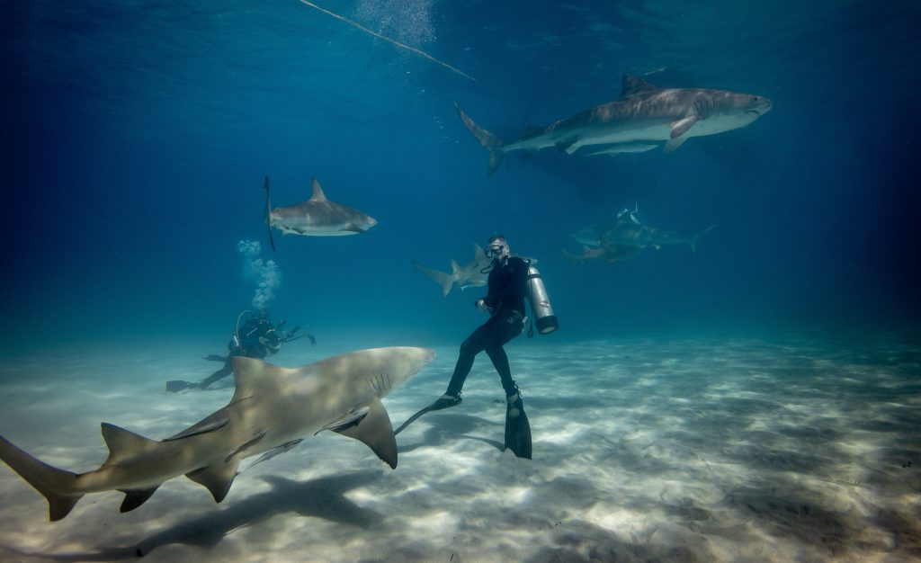 Scuba diving