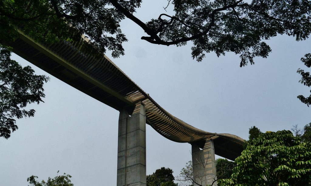 the wavy Henderson bridge in Singapore