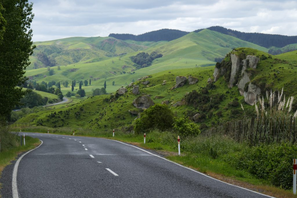 Scenic drive in New Zealand
