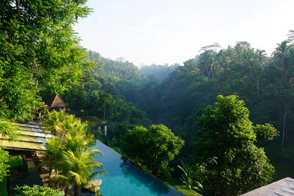 Best private pool villa in Ubud