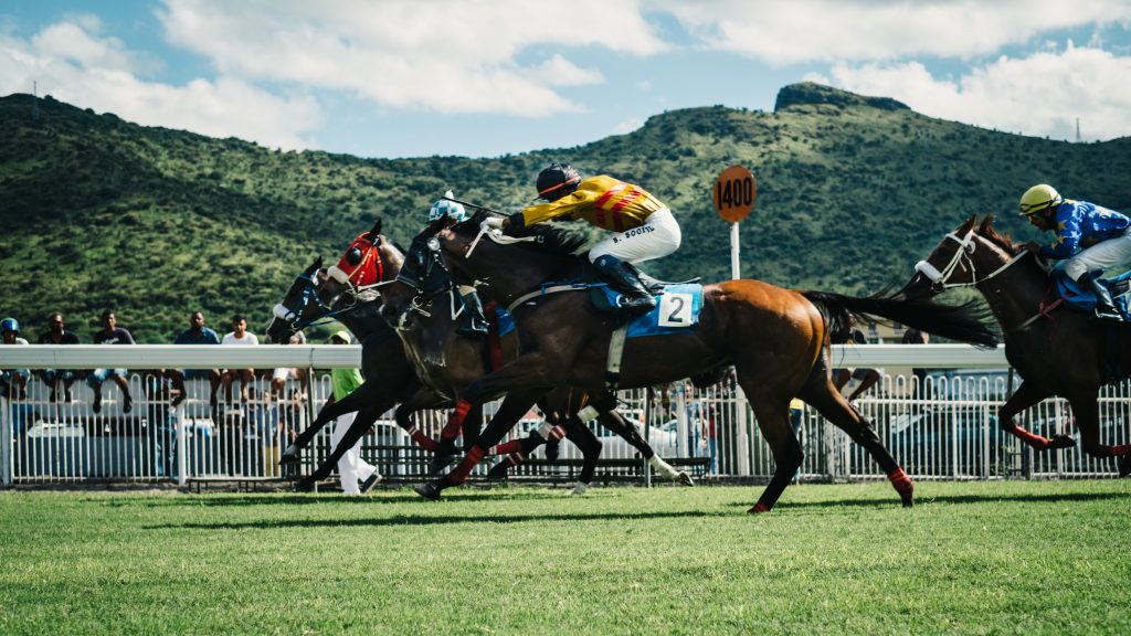 A picture of people riding a horse in Port Louis